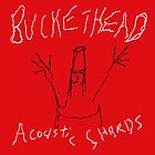  BUCKETHEAD, Acoustic Shards
