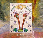  BIOTA, Fragment For Balance