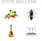 STEVE MACLEAN, Frog Bug Guitar Computer