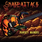 HARVEY MANDEL, Snake Attack