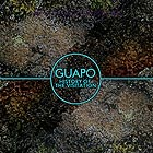  GUAPO, History Of The Visitation