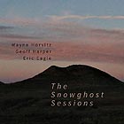 WAYNE HORVITZ, The Snowghost Sessions