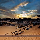 PERRY ROBINSON / BURTON GREENE Two Voices In The Desert