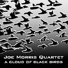 Joe Morris Quartet A Cloud Of Black Birds