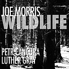 JOE MORRIS Wildlife