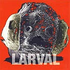  Larval Larval