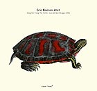 ERIC BOEREN QUARTET Song For Tracy The Turtle