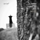 DANILO GALLO DARK DRY TEARS A View Through A Slot
