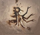  SOMA, Soma