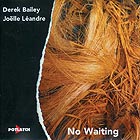 Derek Bailey / Joelle Léandre, No Waiting