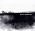Rudresh Mahanthappa Black Water