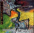  Birdsongs Of The Mesozoic Petrophonics