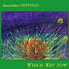 Harry Miller’s Isipingo Which Way Now