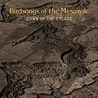  BIRDSONGS OF THE MESOZOIC, Dawn Of The Cycads