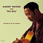  MUDDY WATERS, Muddy Waters Sings Big Bill Broonzy
