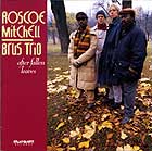 Roscoe Mitchell & The Brus Trio, After Fallen Leaves
