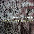  KIHLSTEDT / BOSSI / ISMAILY, Causing A Tiger