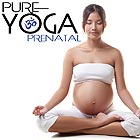  STUDIO MASTERS Pure Yoga Prenatal